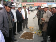 Raupenpilzhändler auf dem Tibetischen Hochland