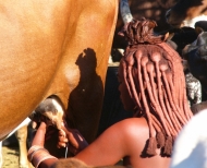 Semi-nomadische Himba, Kaokoland Namibia 