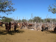 Semi-nomadische Himba, Kaokoland Namibia 